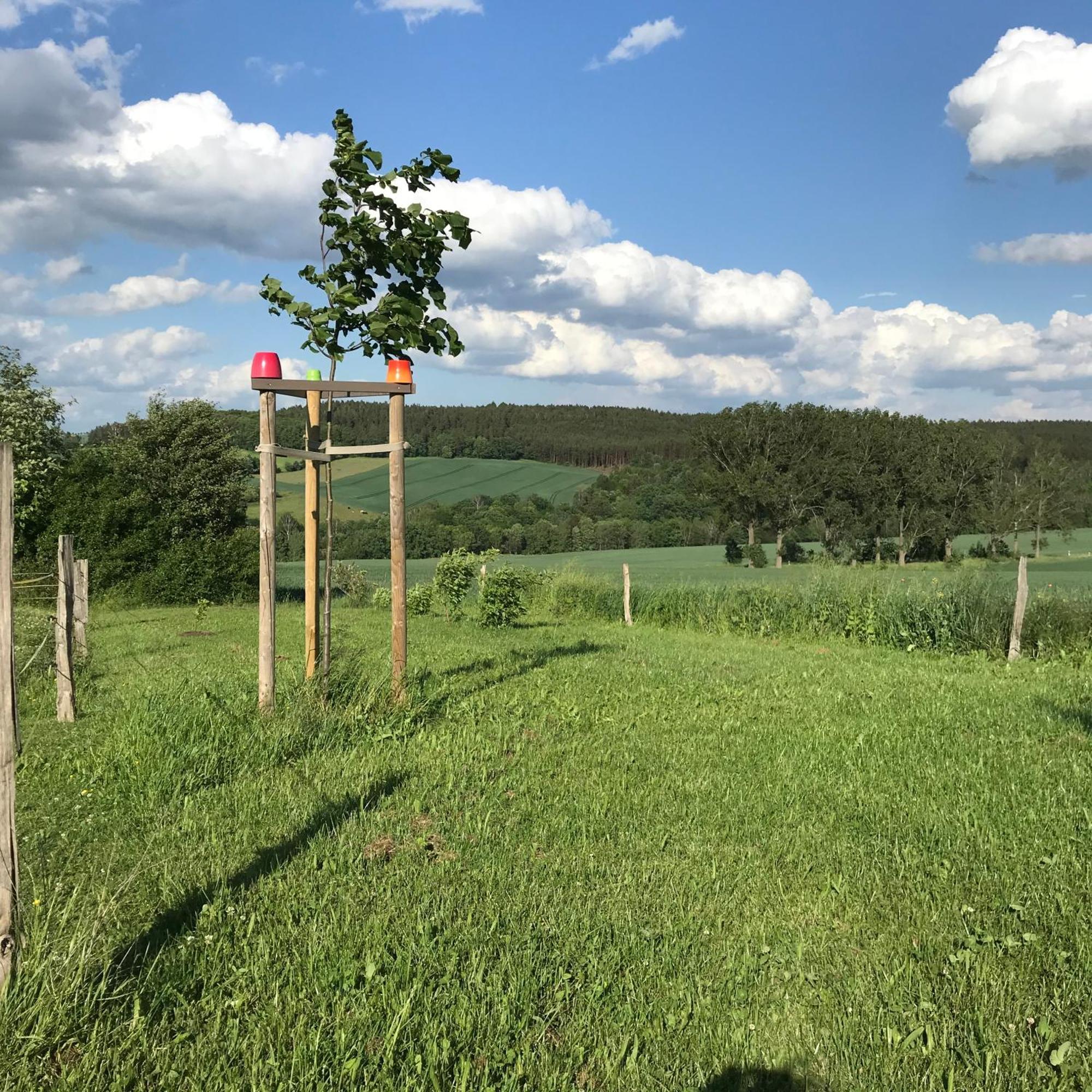 Energietanken Vor Den Toren Dresdens -Barrierefrei- Dippoldiswalde Zewnętrze zdjęcie