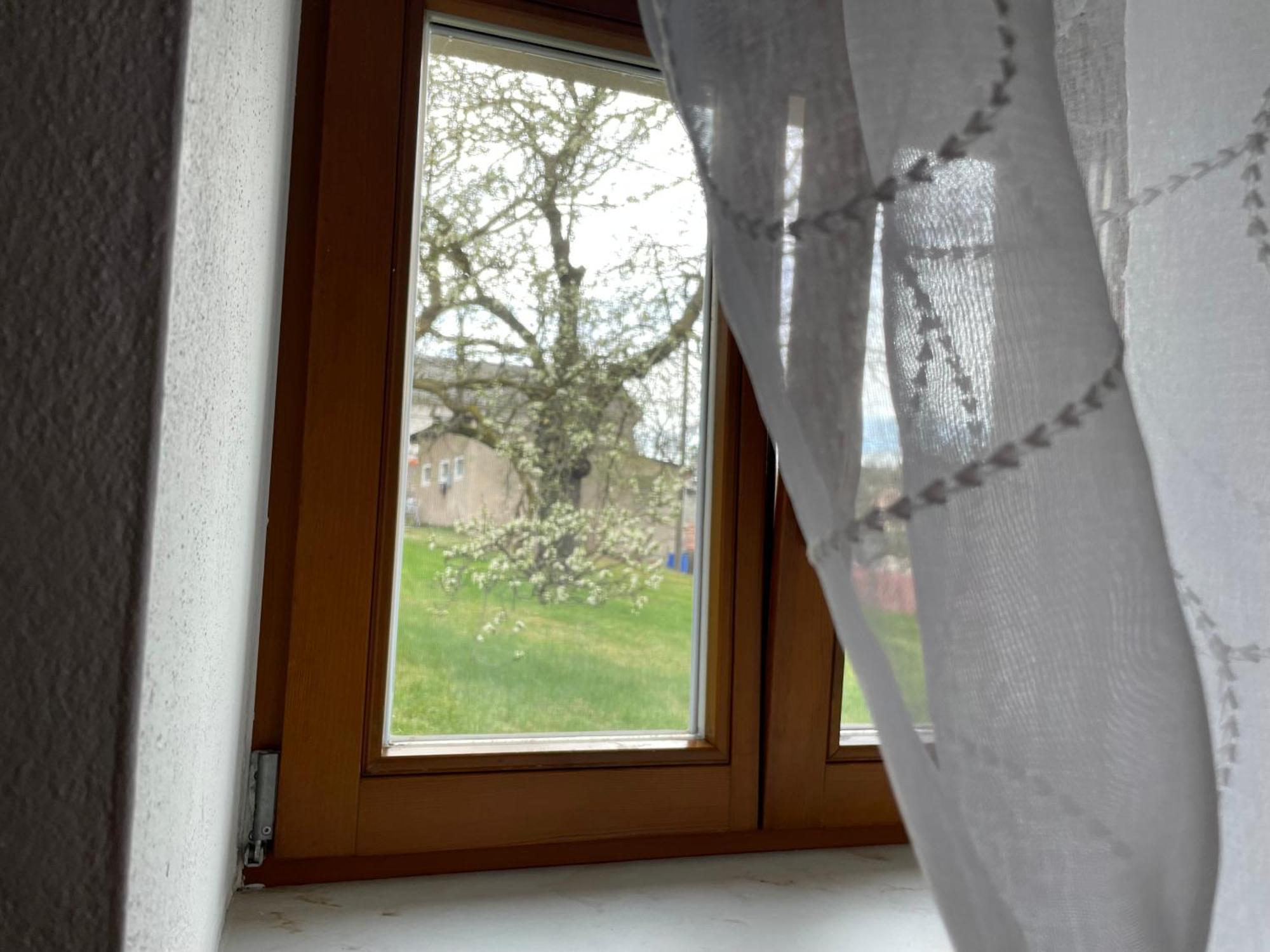 Energietanken Vor Den Toren Dresdens -Barrierefrei- Dippoldiswalde Zewnętrze zdjęcie